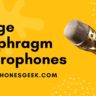 best large diaphragm condenser microphone